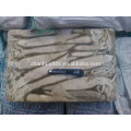 Fish Product Type and Block Shape Frozen Whole Round Squid